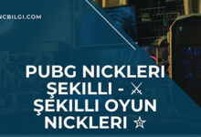 Pubg Nickleri Sekilli