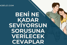 Beni Ne Kadar Seviyorsun Sorusuna Verilecek Cevaplar