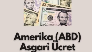 Amerika ABD Asgari Ucret