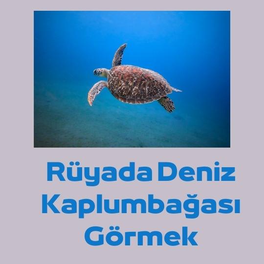 Denizde Kaplumbaga Gormek