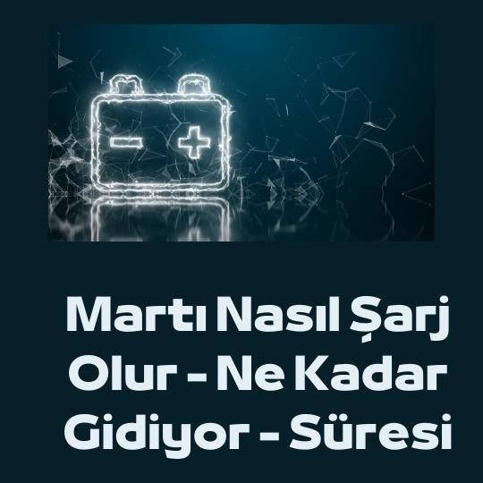 Marti Sarj