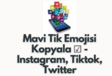 Mavi Tik Emojisi Kopyala
