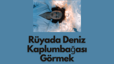 Ruyada Deniz Kaplumbagasi Gormek