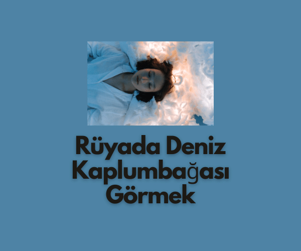 Rüyada Deniz Kaplumbağası Görmek - Dini Cevap » Gncbilgi