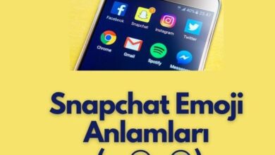 Snapchat Emoji Anlamlari