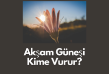 Aksam Gunesi Kime Vurur
