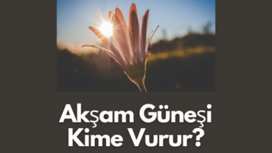 Aksam Gunesi Kime Vurur