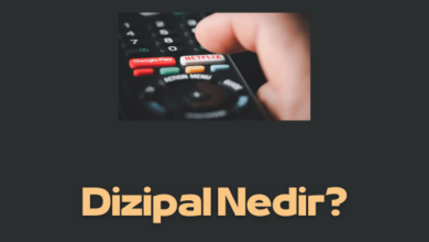 Dizipal Nedir