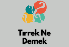 Tirrek Ne Demek