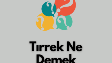 Tirrek Ne Demek