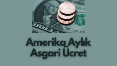 Amerika Aylik Asgari Ucret