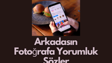 Arkadasin Fotografa Yorumluk Sozler