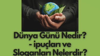Dunya Gunu Nedir Ipuclari ve Sloganlari Nelerdir