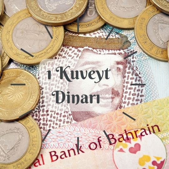 Dunyanin En Degerli Parasi