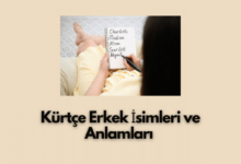 Kurtce Erkek Isimleri ve Anlamlari