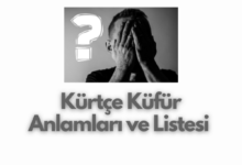 Kurtce Kufur Anlamlari ve Listesi