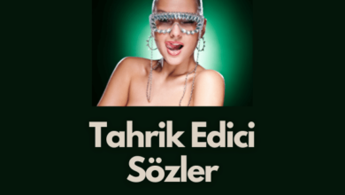 Tahrik Edici Sozler