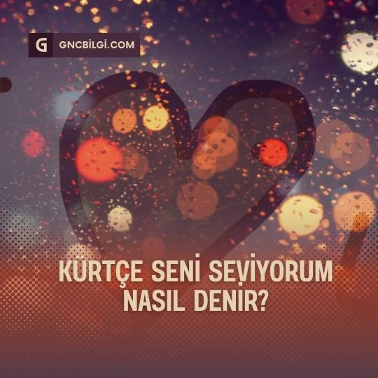 Kurtce Seni Seviyorum Askim