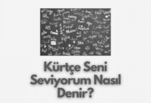 Kurtce Seni Seviyorum nasil okunur
