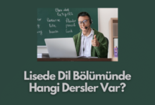 Lisede Dil Bolumunde Hangi Dersler Var