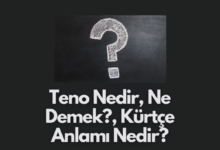 Teno Nedir Ne Demek