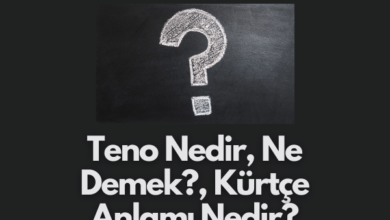 Teno Nedir Ne Demek