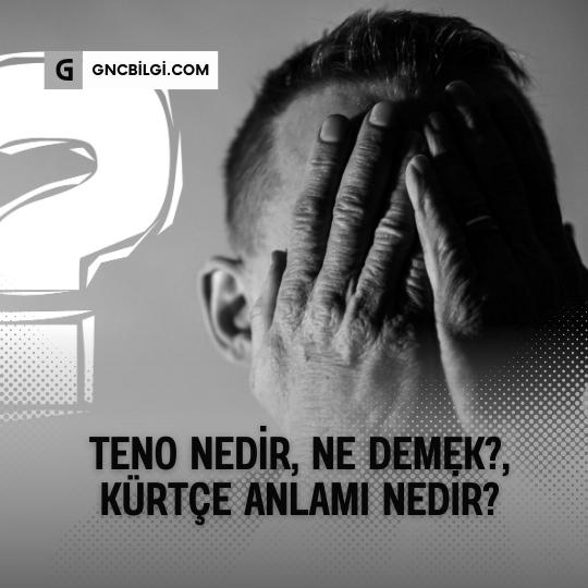 Teno Nedir