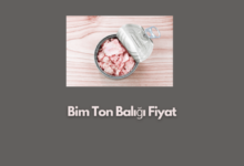 Bim Ton Baligi Fiyat