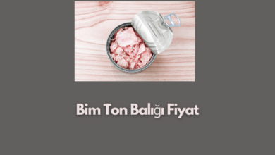 Bim Ton Baligi Fiyat