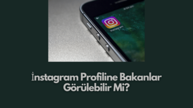 Instagram Profiline Bakanlar Gorulebilir Mi