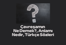 Cavresamin Ne Demek