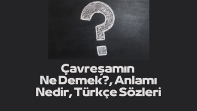 Cavresamin Ne Demek