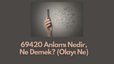 69420 Anlami Nedir Ne Demek