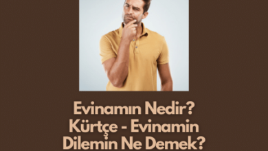 Evinamin Dilemin Ne Demek