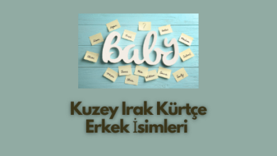 Kuzey Irak Kurtce Erkek Isimleri