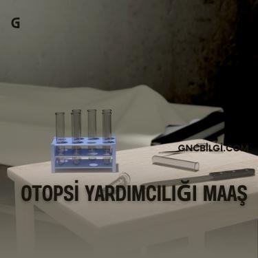 Otopsi Yardimcilari Ne Is Yapar Gorevleri Nedir