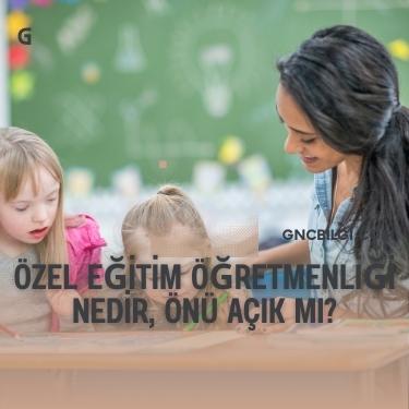Ozel Egitim Ogretmenlerinin Calisma Alanlari