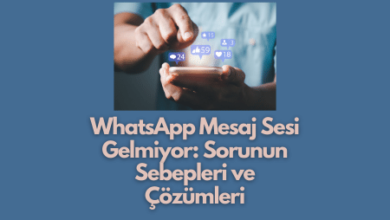 WhatsApp Mesaj Sesi Gelmiyor