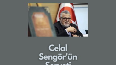 Celal Şengör'ün Serveti