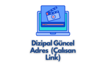 Dizipal Güncel Adres