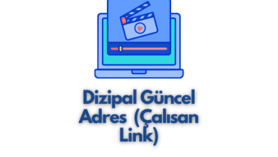 Dizipal Güncel Adres