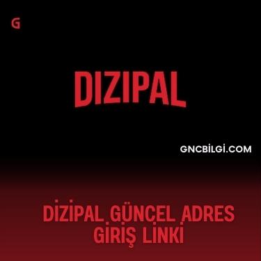 Dizipal Nedir