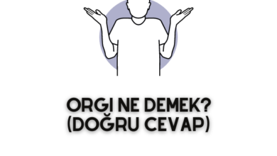 Orgi Ne Demek