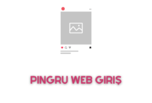 Pingru Web Giriş