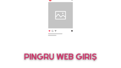 Pingru Web Giriş