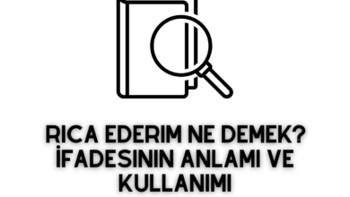 Rica Ederim Ne Demek