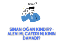 Sinan Oğan Kimdir
