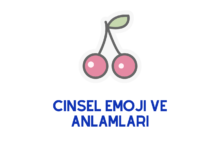Cinsel Emoji ve Anlamları