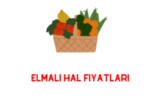 Elmalı Hal Fiyatları hakkında