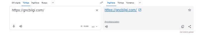 Google Yasakli Sitelere Giris